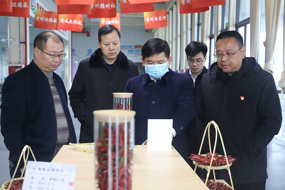 【農(nóng)投動(dòng)態(tài)】| 副市長李勰到播州國際辣椒產(chǎn)業(yè)園調(diào)研