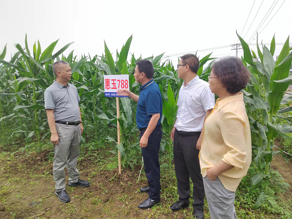 【農投動態(tài)】| 遵義市農業(yè)農村局副局長龍斌調研基地產業(yè)發(fā)展工作